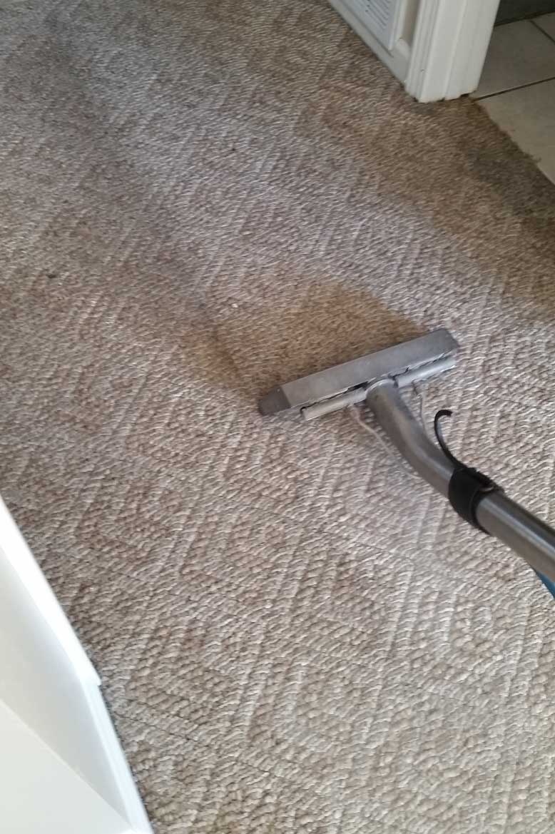 https://www.superiorky.com/media/carpet-cleaning-lexington-ky.jpg