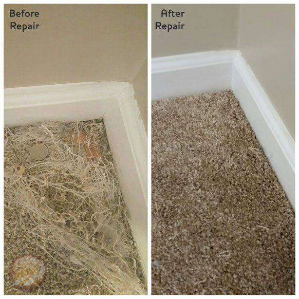 Carpet Patch Repair - Premier Carpet Cleaning