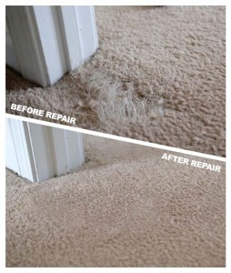 Where Does The Carpet From a Patch Come From